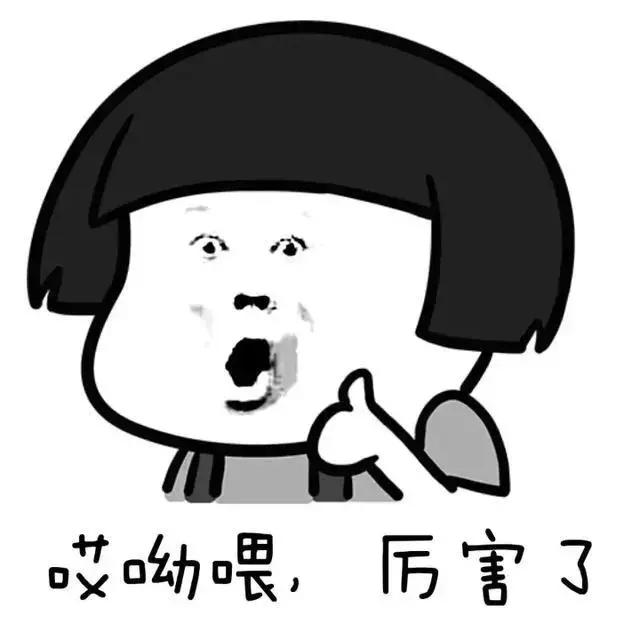 处理厨余垃圾的虫子,可以清理厨余垃圾的虫子