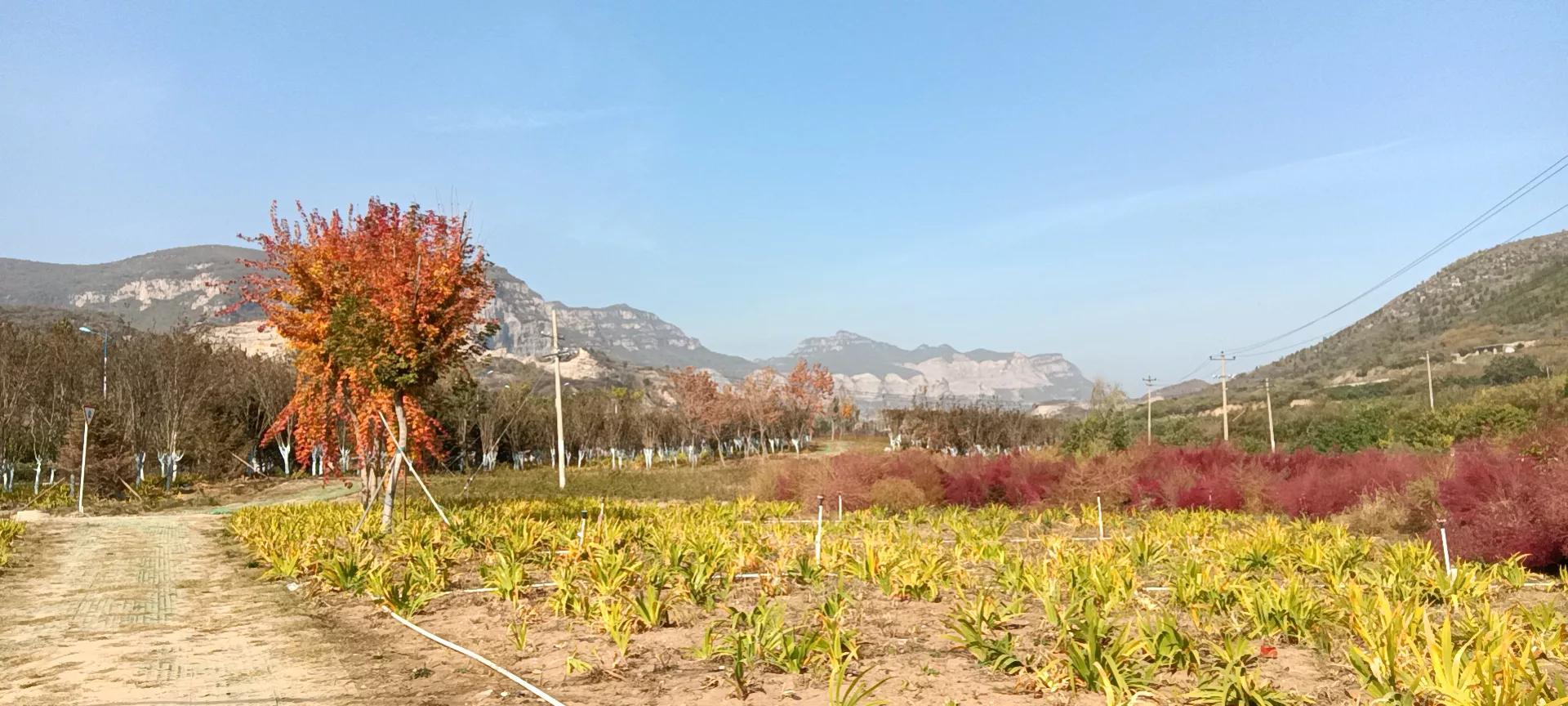 与成语司空见惯意义相同的成语,司空见惯相关的成语