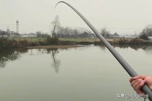 钓鱼饵料能不能加泡沫,钓鱼新手必备的三大绝招