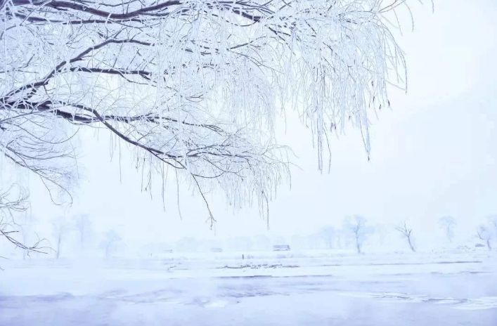 古诗词中柳树的寓意,古诗词里有冬天的诗句