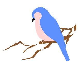 珍稀鸟类现身成都,在双流春游看花