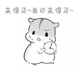 泰国护照免签和落地签国家,泰国护照免签落地签国家