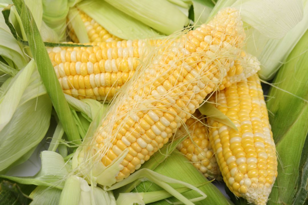 鲜嫩多汁即食水果玉米,鲜甜嫩玉米