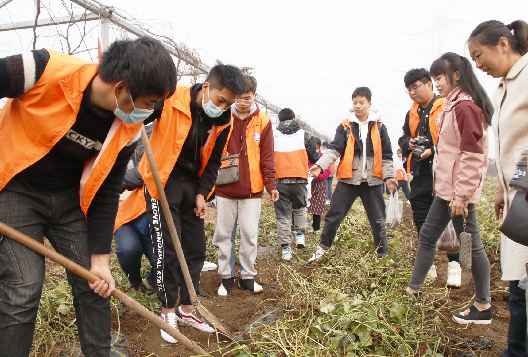 美好食光五年级劳动实践活动,西安职业技术学院职业教育活动周
