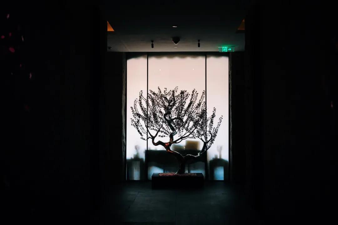 我在上海，执行了一次假装在日本计划