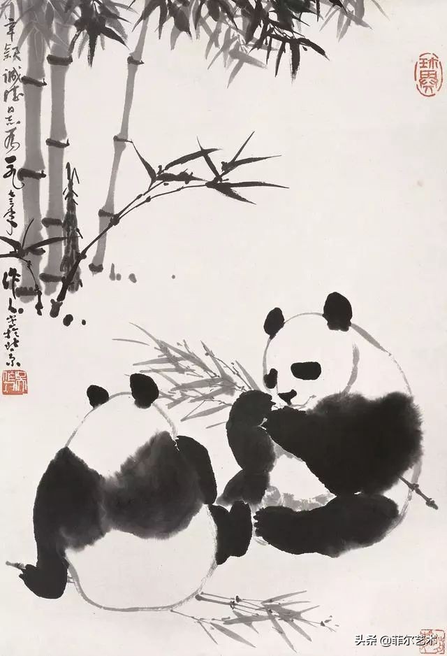 吴作人画速写熊猫,熊猫国画吴作人图文
