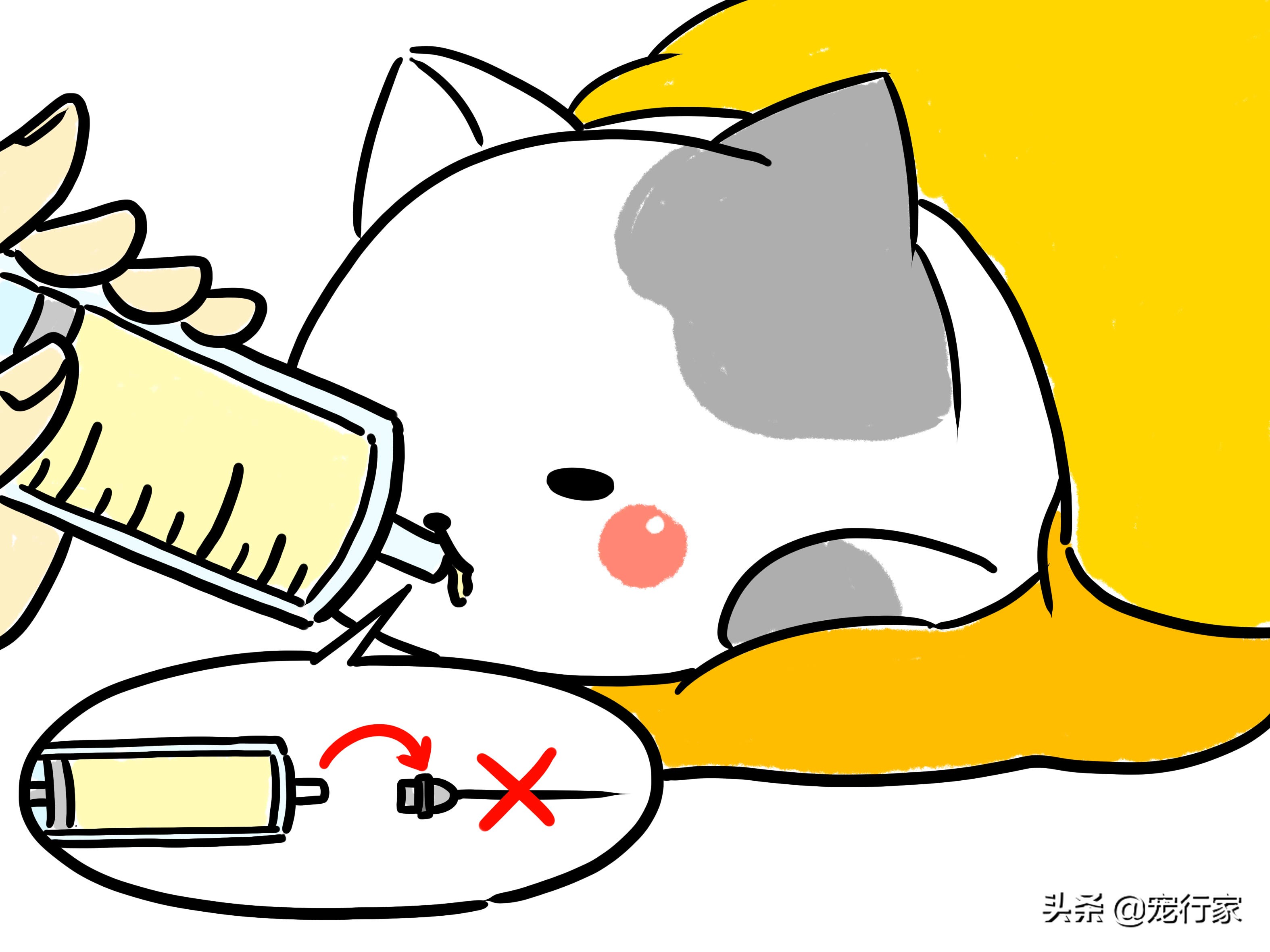 小猫刚生母猫没有母乳可以养活吗,刚出生三天的小猫没有猫妈妈