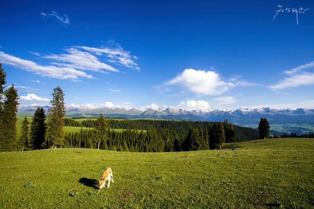 夏天去避暑穿什么,夏天要去哪里避暑