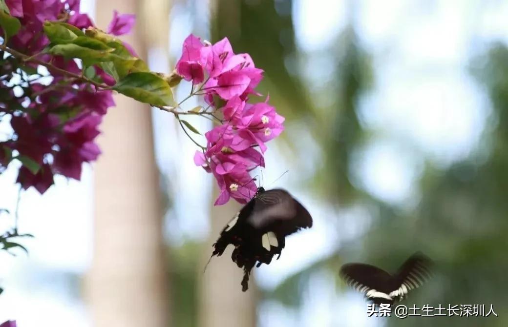 冷门地名生僻字,地名生僻字