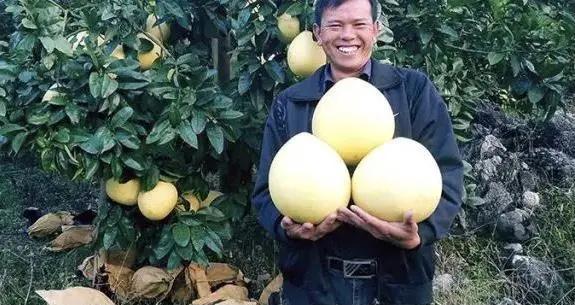 农村90后小伙回乡创业,贵州80后小伙第三次创业