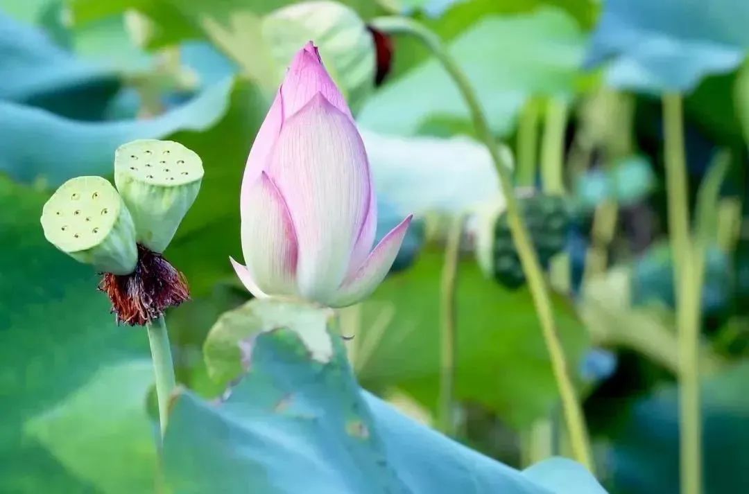 山东这五处绝美景区，藏着的不仅仅是诗与远方，还有……