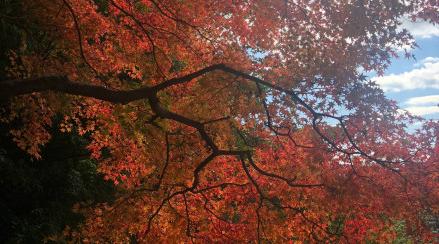 昆明适合拍照的景点有哪些,昆明大理周边旅游景点排名榜前十