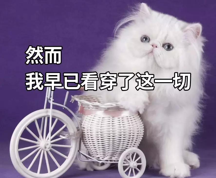 炒股最大的风险,如何炒股才能把风险规避到最小