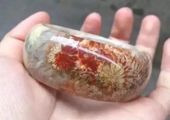 珊瑚玉怎么养是最好的,什么样的珊瑚玉是最好的