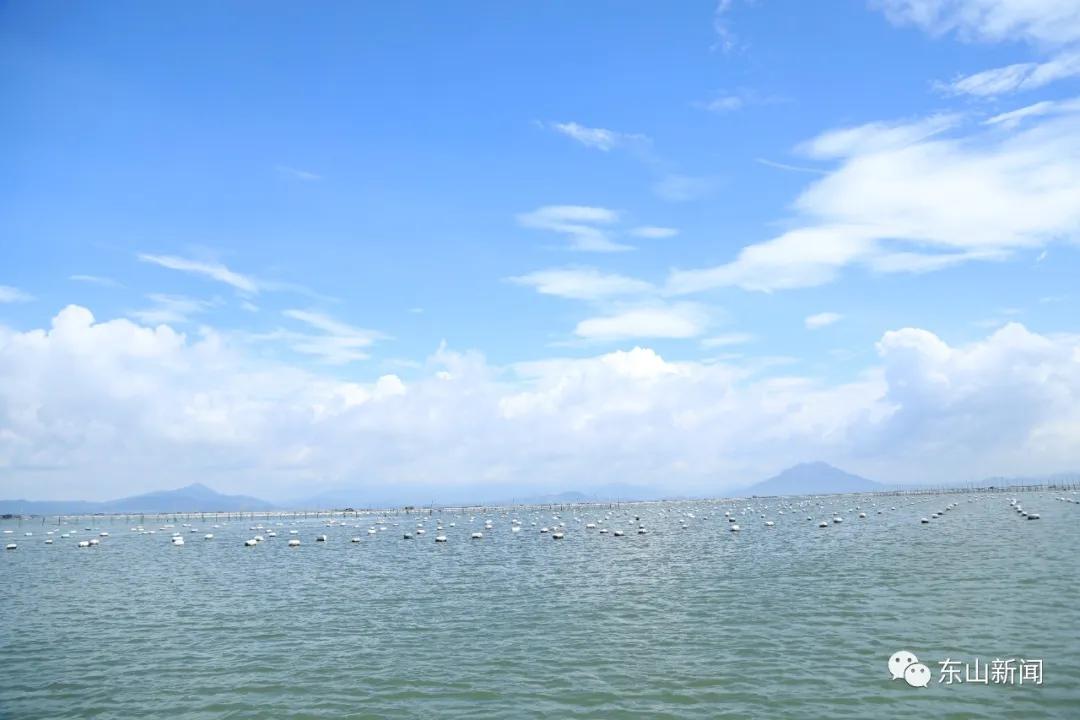 海上去哪玩,东山岛海边哪里有螃蟹抓