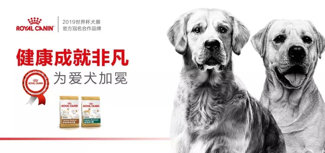 皇家跟冠能的优势,冠能真的好吗