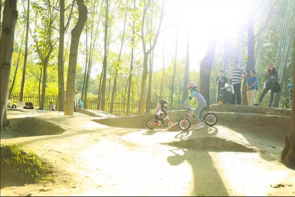 青少年成长冬令营课程,青少年冬令营拓展项目