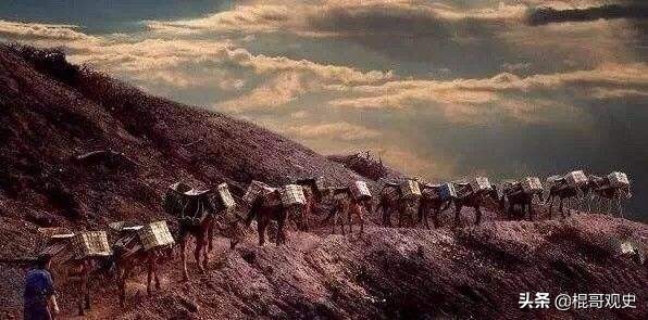 中国十大名茶应该如何排名,中国十大名茶最新排名及其特点