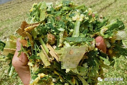 详解CLAASJAGUAR玉米粉碎器德版