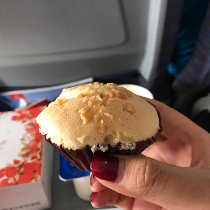 回家过年推荐飞机,过年回家飞机火车哪个最安全