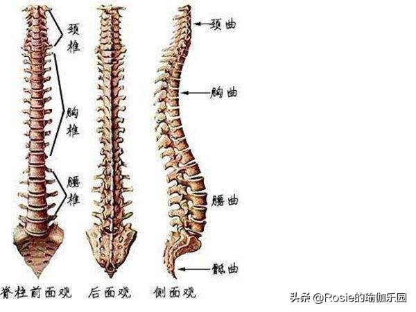 长短腿高低肩驼背头前倾,怎样改善高低肩和驼背学生