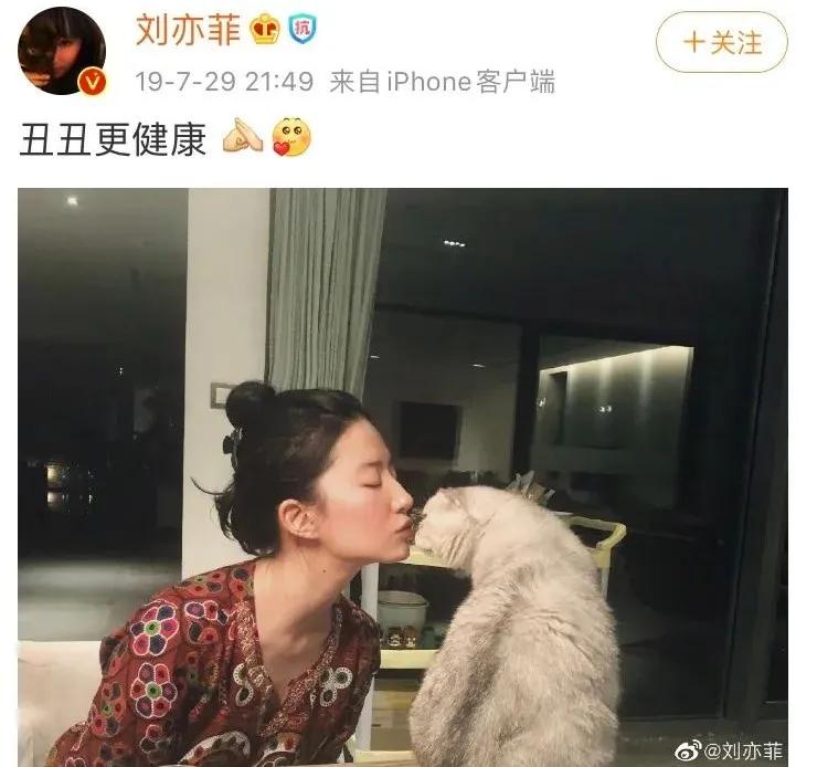 刘亦菲花木兰四大槽点,从花瓶到影后用演技迷翻众生