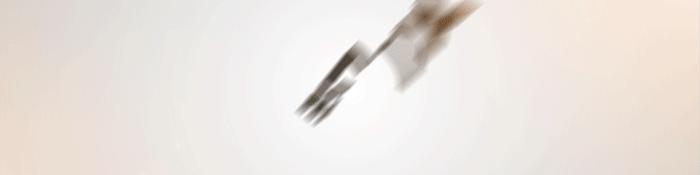 菊花烂漫,赏菊花汉口江滩打卡