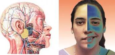 面肌痉挛右眼皮跳北京哪里治疗,眼皮一直抽搐跳动的原因面肌痉挛