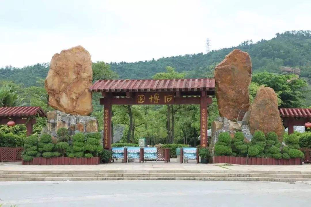 珠海石博园奇石在哪里,石博园精品奇石展示