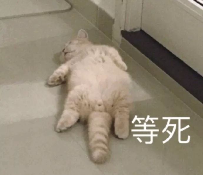 全国富婆通讯录搞笑图片,全国富婆通讯录手机壁纸超清