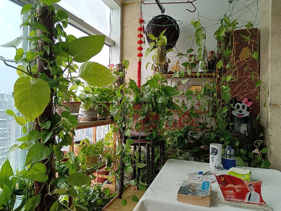 老古文章,老古董文章