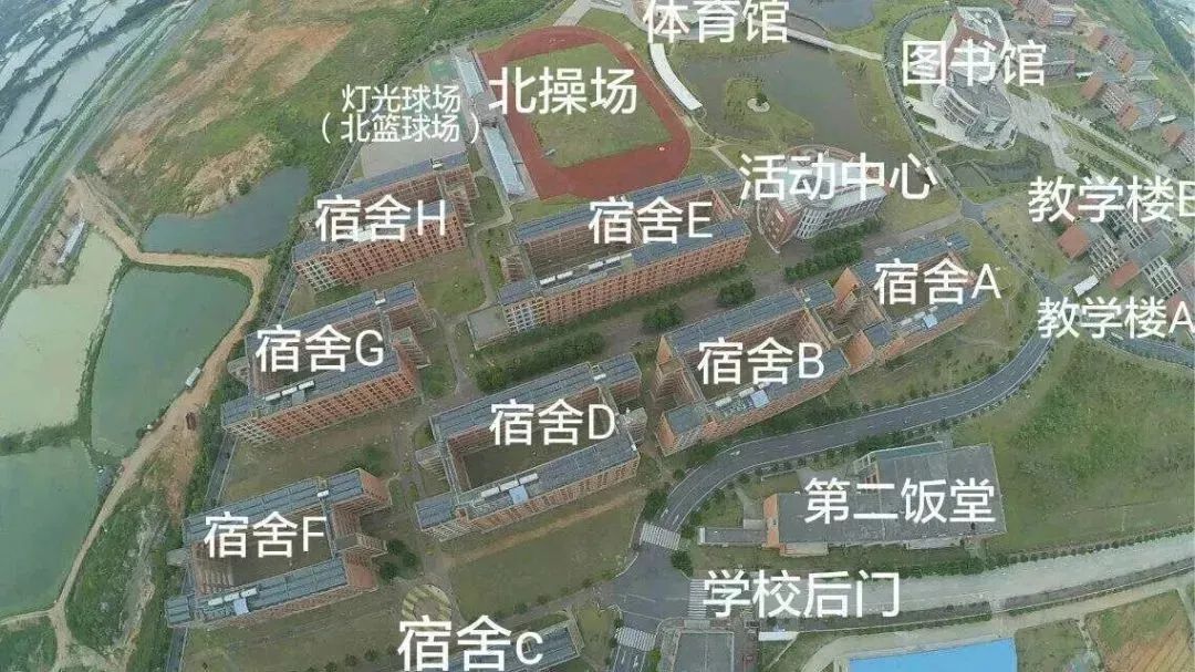 高职高考必看,高职高考学习资料