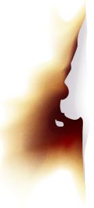 柏林系统海水缸,海缸柏林系统多久完善