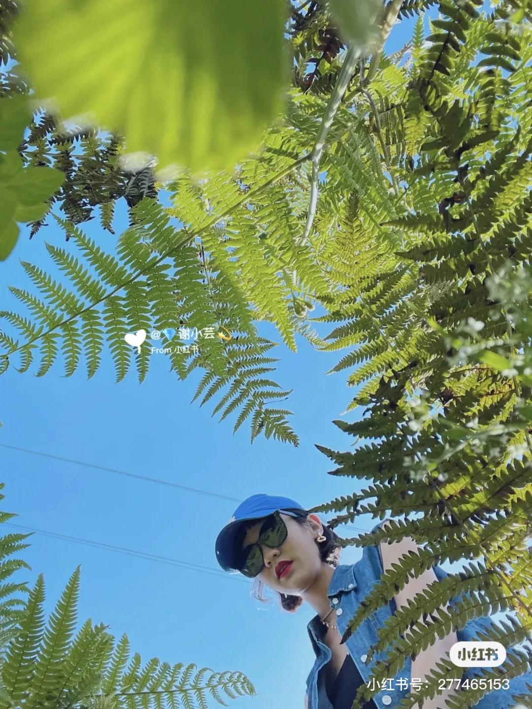 昆明中秋遛娃好去处免费,昆明周边自驾游攻略周末旅游推荐
