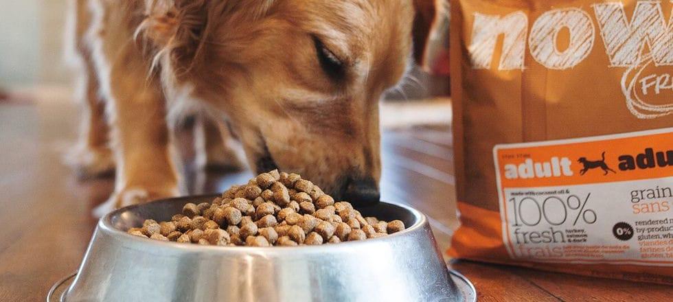 喵老师被封号的原因,喵老师被开除了