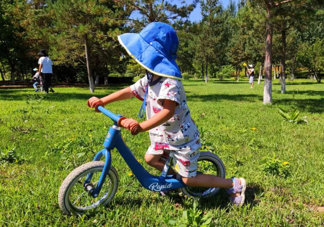 养了四年神兽，我买了这几辆车，很值