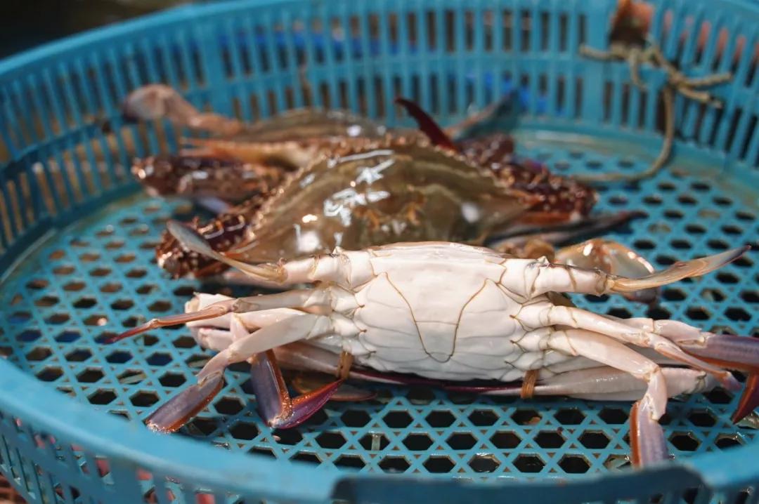 无锡市中心小巷美食攻略,无锡市中心吃的推荐