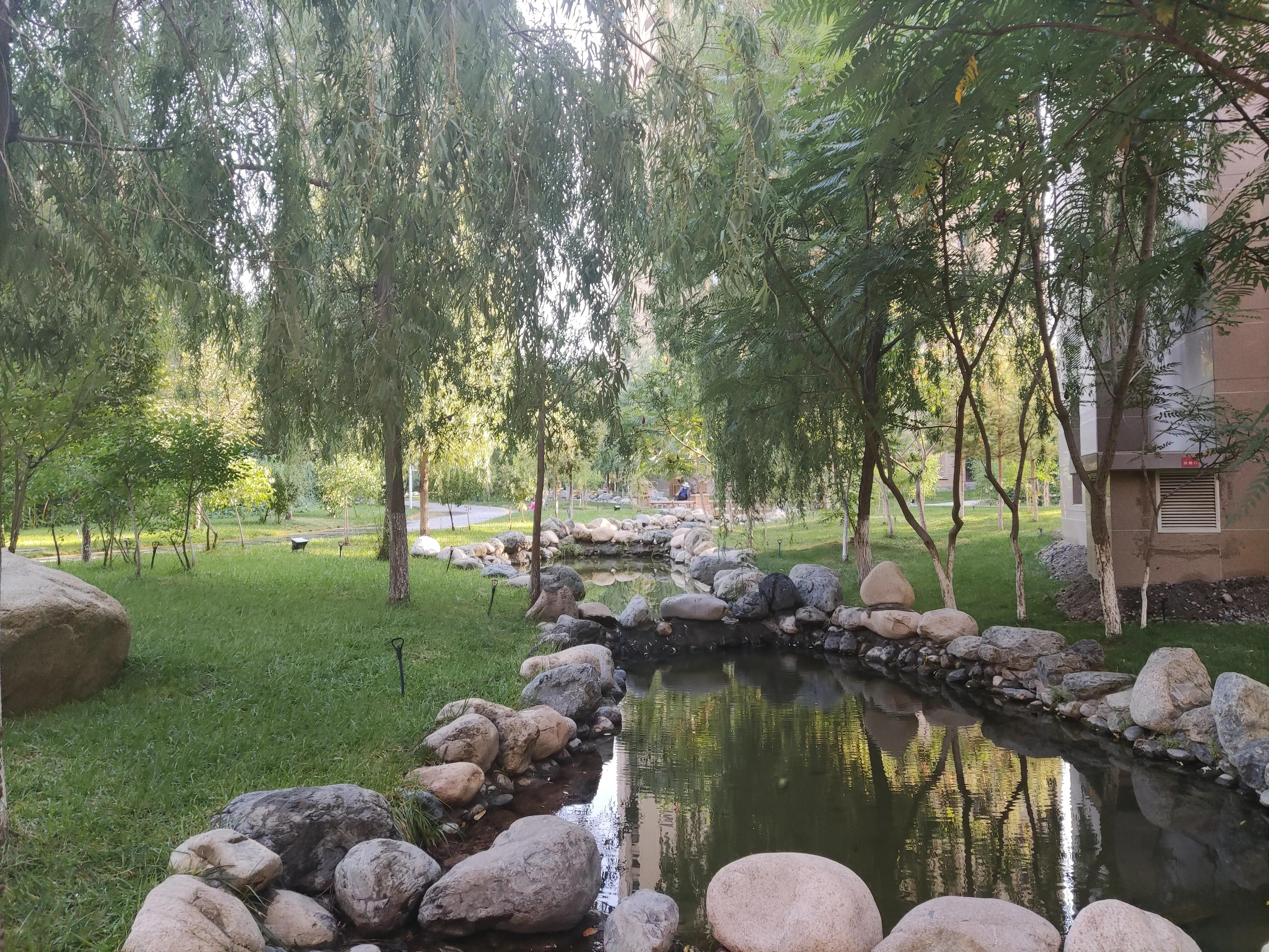 乌鲁木齐绿化最好楼盘,乌鲁木齐市绿化最好的街道视频