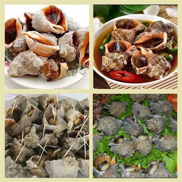 东戴河亿方客农家院,东戴河零距离农家院推荐