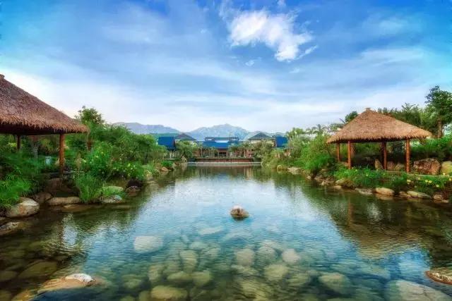 深圳经济特区的生日,深圳经济特区生日快乐