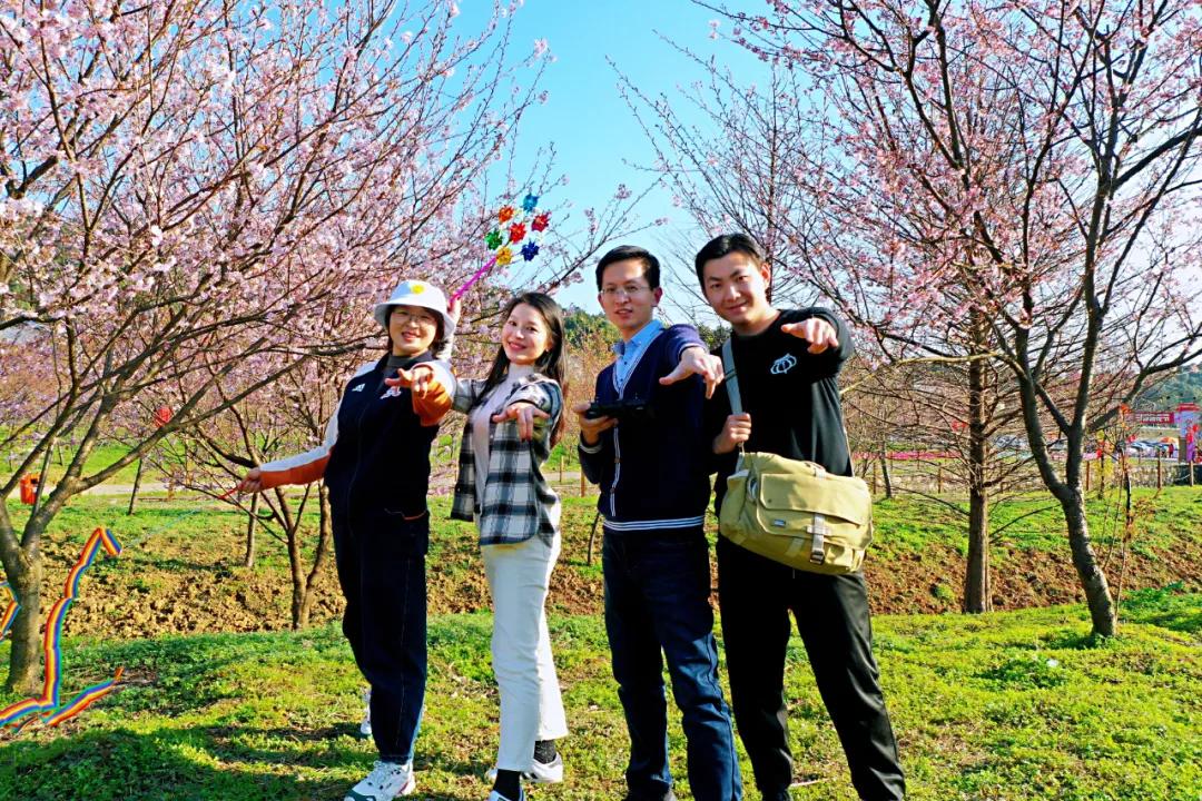好嗨“游”（11）|这一片早樱还不去赏，错过又得等一年