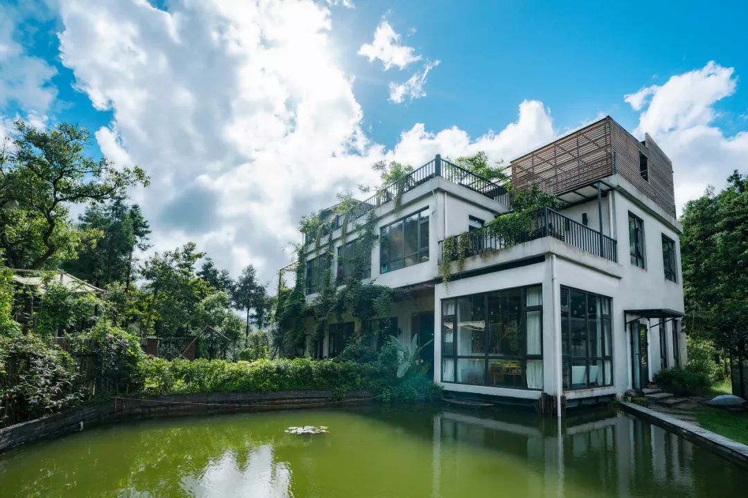 温州正规民宿名单,温州十大口碑最好民宿