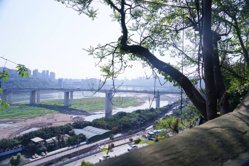 向佐郭碧婷街边偶遇,向佐郭碧婷郊外游玩照片