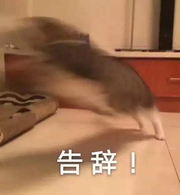 娱乐圈和网红圈哪个更乱,网红圈真的那么乱吗