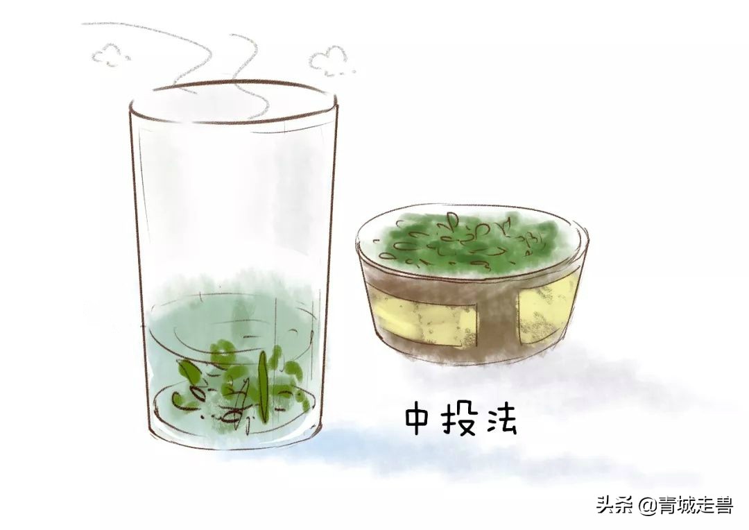 来青岛喝青岛啤酒喝哪种,来青岛喝青岛饮料