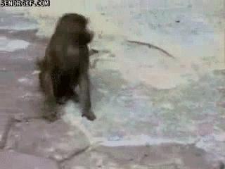 常见的20种网赚骗术揭秘,韭菜有效套路