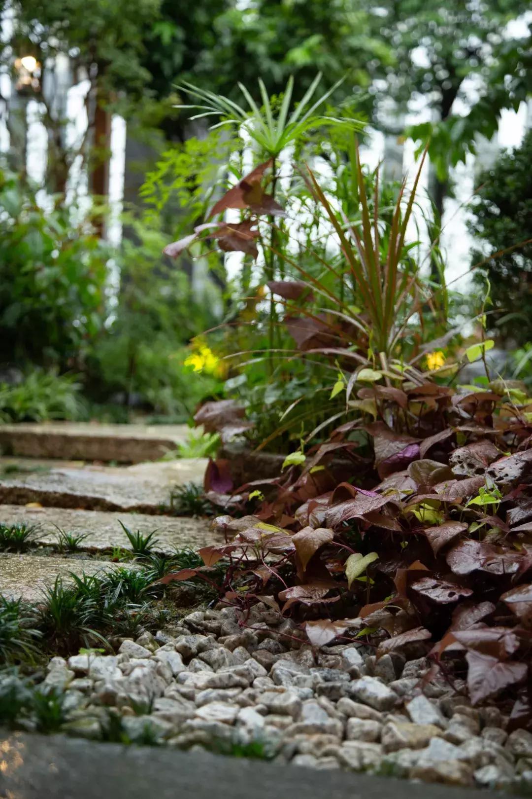 像御温泉的度假村,御温泉花园会所