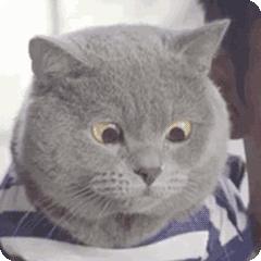 男性泌乳素型垂体大腺瘤严重吗,男人得了泌乳素垂体瘤严重吗