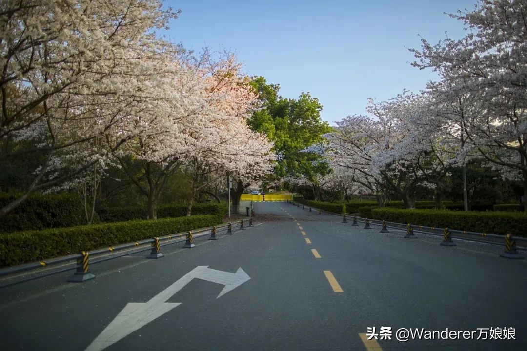 各地高三开学时间最新消息,最新各个省份高三开学时间