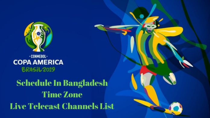 美洲杯logo,2024美国美洲杯官方logo